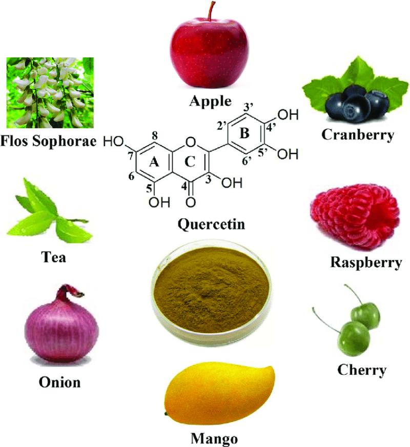 Quercetin market demand creates room for new growth story: