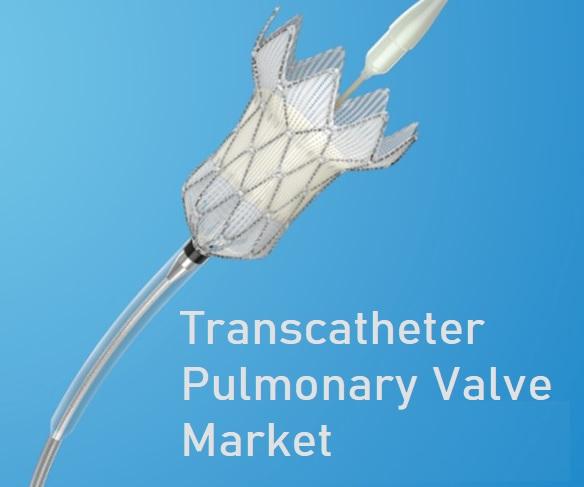 Transcatheter Pulmonary Valve Market