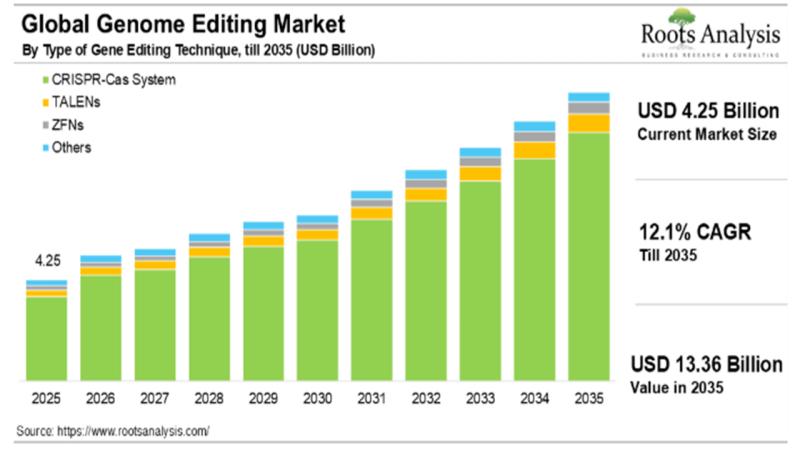 The Genome Editing Market is projected to grow at a CAGR of 12.1% , till 2035, claims Roots Analysis