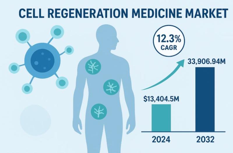 Cell Regeneration Medicine Market to Reach USD 33,906.94 million by 2032, Growing at a CAGR of 12.3% says Credence Research