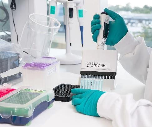 Transfection Reagents and Equipment Market