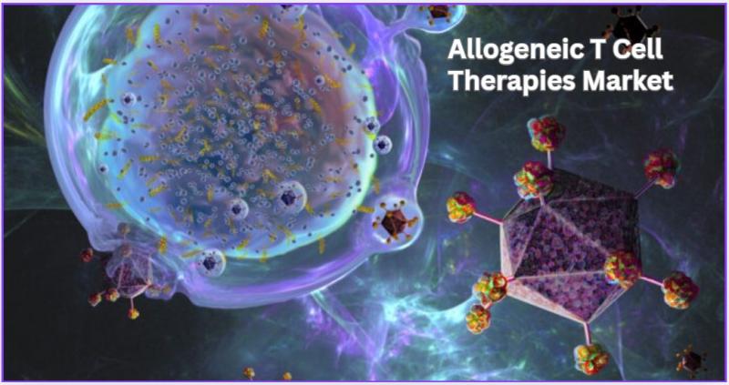 Allogeneic T Cell Therapies Market to Reach USD 2,677.16 million by 2032, Growing at a CAGR of 10.3% says Credence Research