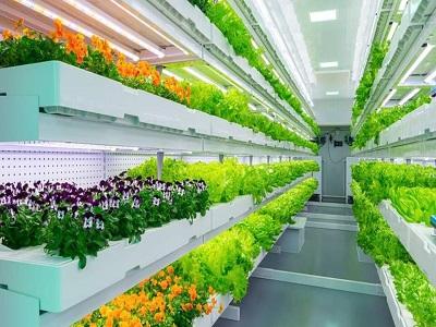 U.S. Indoor Farming Market