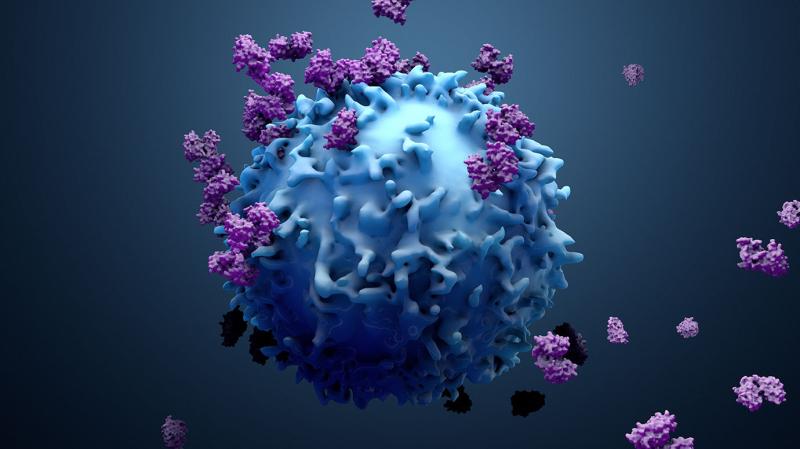 Immunotherapy Drugs Market Set to Witness Significant Growth by 2033 | Merck & Co., Inc., Novartis AG, Amgen Inc., Pfizer Inc., GlaxoSmithKline plc