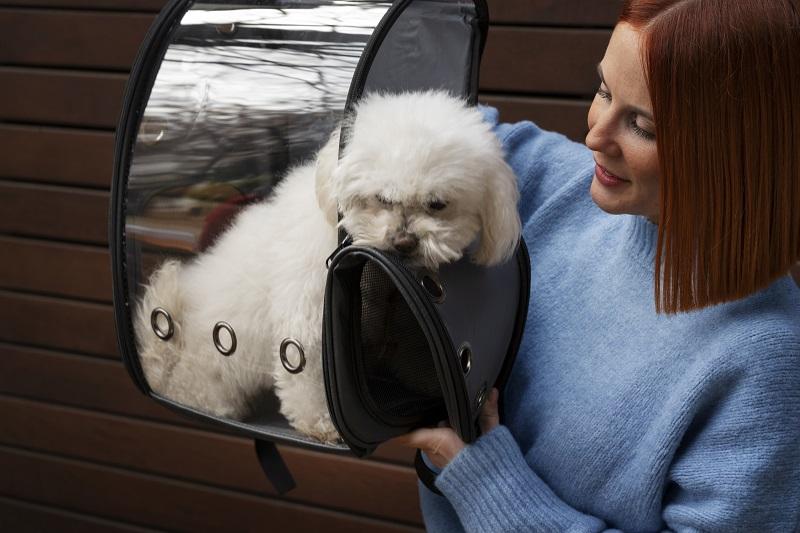 PET Film Market | Industry Trends, Growth Drivers, Forecast & Competitive Analysis