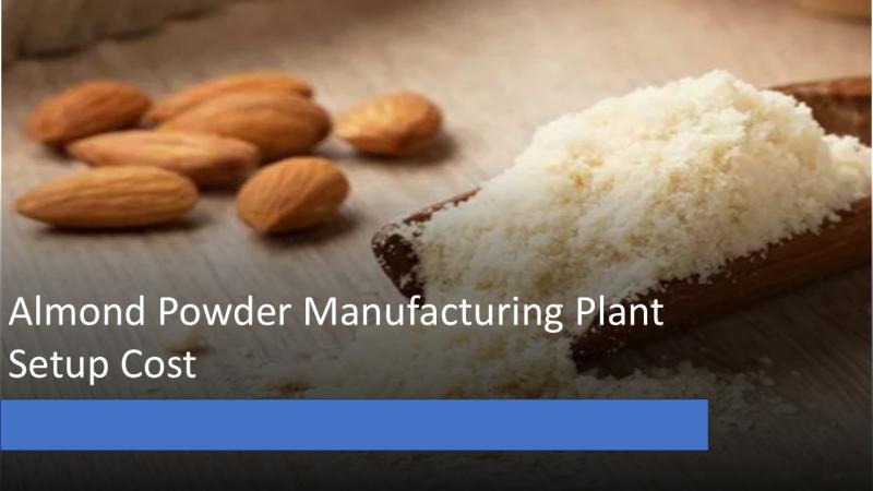 Almond Powder Manufacturing Plant Setup 2025: Machinery Details, Industry Trends and Cost Involved