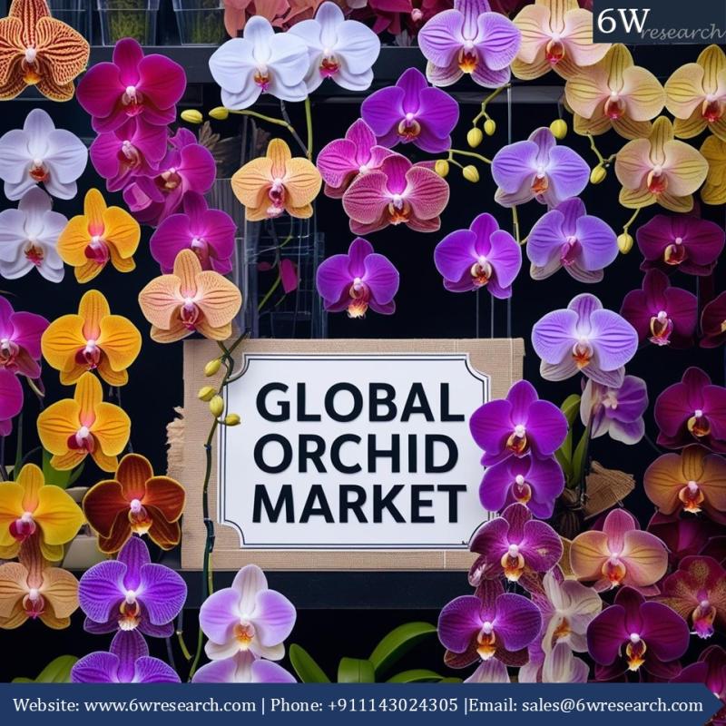 Why Orchids Remain a Key Flower in Global Markets Despite Growing Alternatives