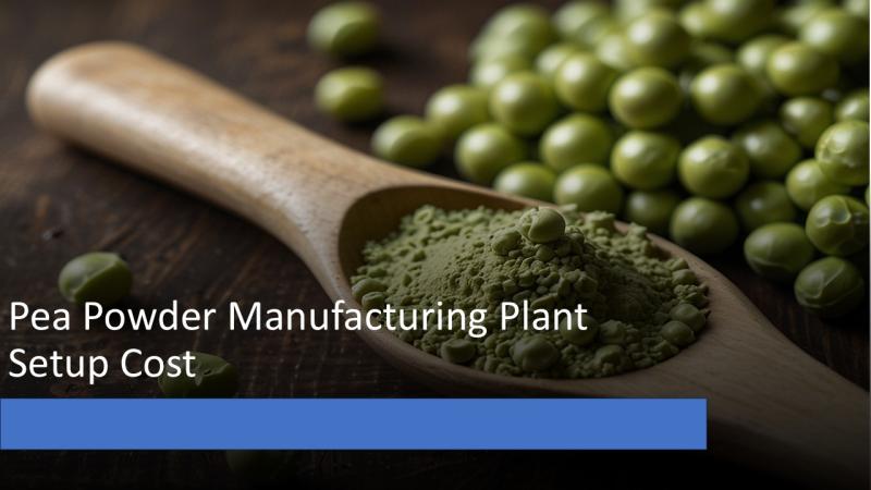 Pea Powder Manufacturing Plant Setup Cost, Machinery Details and Business Plan 2025
