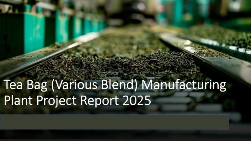 Tea Bag (Various Blend) Manufacturing Plant Setup 2025: Feasibility and Profitability Roadmap for Investors