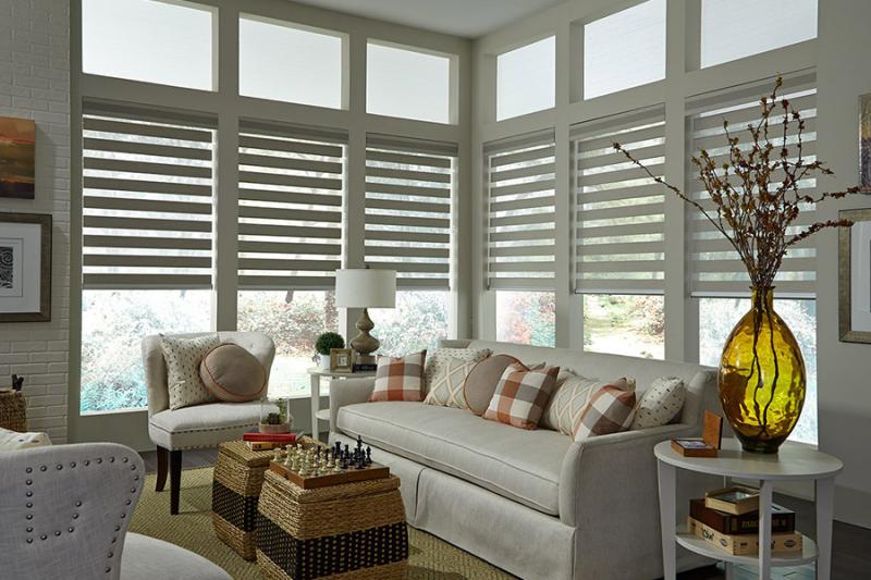 Blinds and Shades Market Set to Witness Significant Growth by 2033 | Levolor, Norman Window Fashions, MechoShade Systems