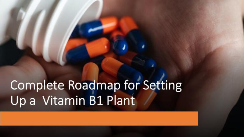 Report on Vitamin B1 Manufacturing Plant Detailing Business Plan, Cost Analysis and Raw Material Requirements