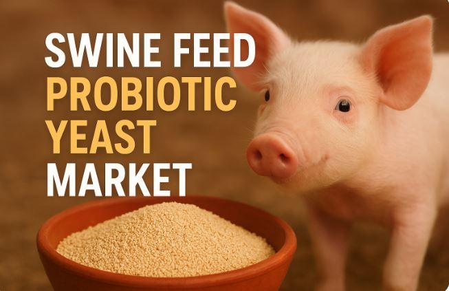 Swine Feed Probiotic Yeast Market to Reach USD 2,147.02 million by 2032, Growing at a CAGR of 3.95 % says Credence Research