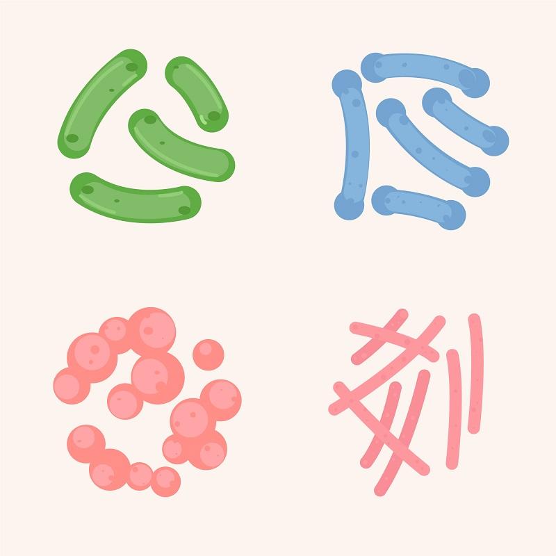 Probiotics Market Attracts Investment with Innovations in Microbiome Research & Formulation Technologies | DataM Intelligence