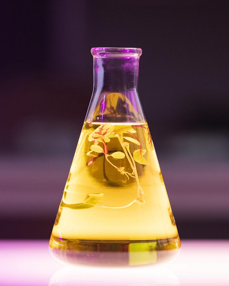 Bio-Acetic Acid Market | Global Insights, Key Developments & Growth Prospects | DataM Intelligence