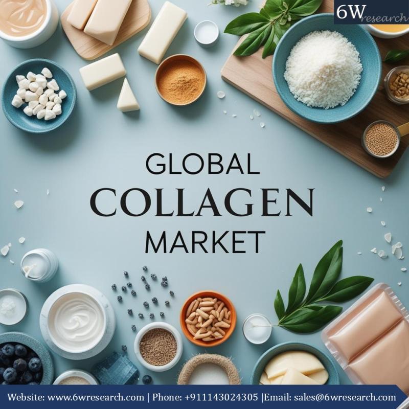 Why Collagen Remains a Key Ingredient Across Global Industries Despite Growing Alternatives