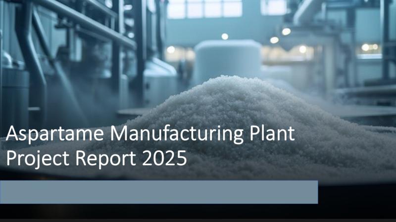 How to Start a Aspartame Manufacturing Plant: Equipment, Cost with Profitability Forecasts