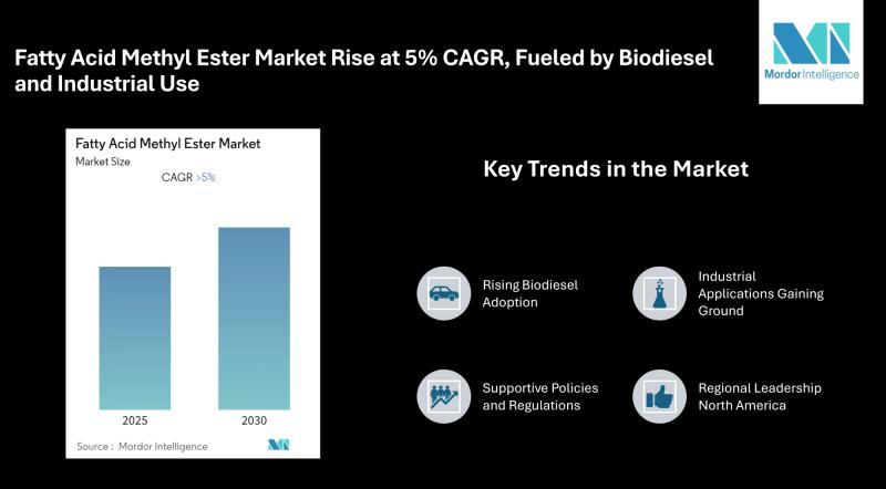 Fatty Acid Methyl Ester Market Size Rise at 5% CAGR, Fueled by Biodiesel and Industrial Use
