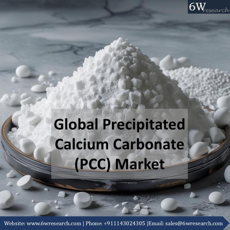 Exploring the Growth of the Global Precipitated Calcium Carbonate Market