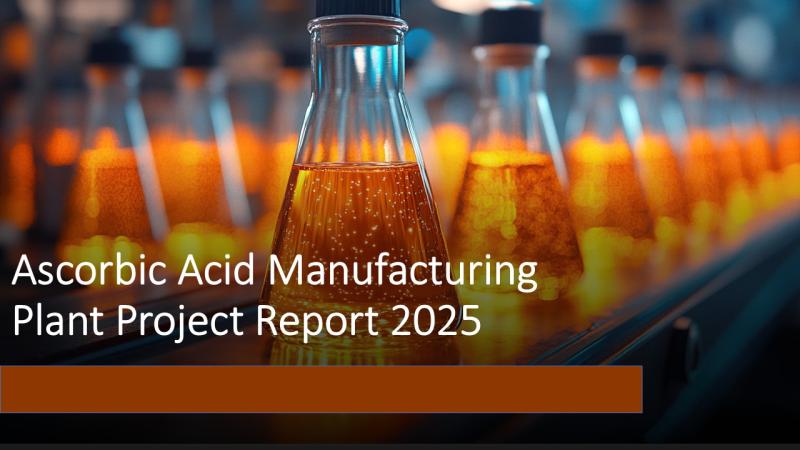 Roadmap for Setting up a Ascorbic Acid Manufacturing Plant: Equipment, Cost & Investment Guide