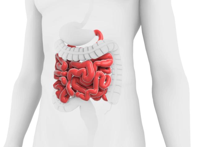 Short Bowel Syndrome (SBS) Patient Pool Market Expected to Reach USD 2.7 Billion by 2034