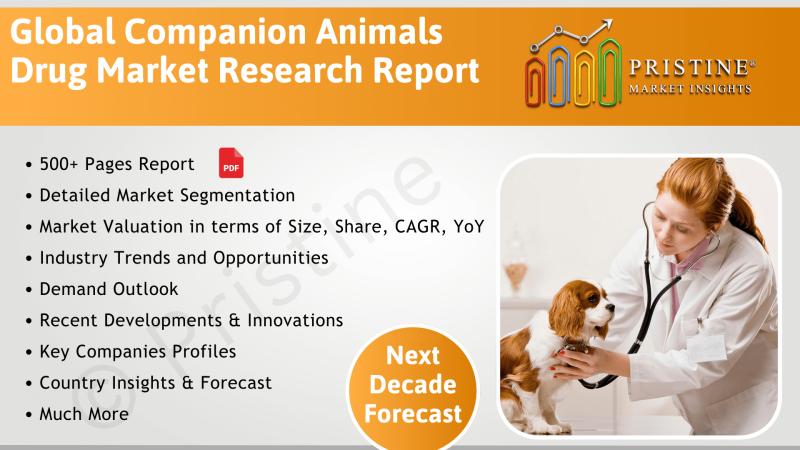 Companion Animals Drug Market Research, Country-wise Market Breakdown, Research Report