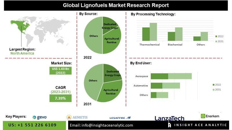 Lignofuels Market Report on the Untapped Growth Opportunities in the Industry