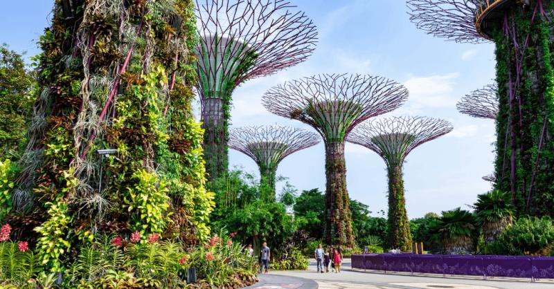 SAM Corporate Establishes Singapore Office, Deepika Chawla to Drive ESG Growth in APAC