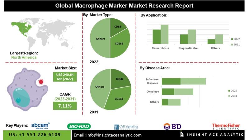 Macrophage Markers Market Report Latest Trends and Future Opportunities Analysis