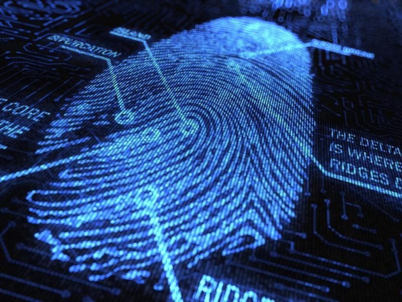 Network Forensic Market Size, Shares, Business Growth and Upcoming Trends Forecast by 2033