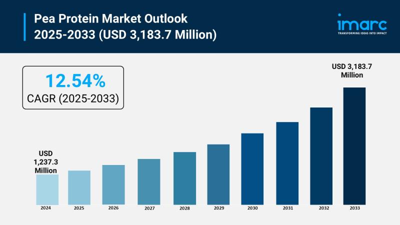 Pea Protein Market to Grow Worth USD 3,183.7 Million by 2033 | Exhibiting CAGR of 12.54%