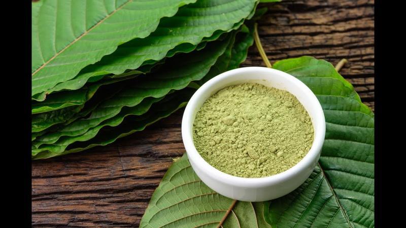 Kratom Market Trends and Outlook: From USD 2.19 Billion in 2024 to USD 7.80 Billion by 2032