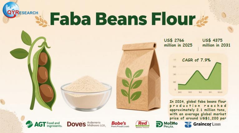 Faba Beans Flour Market Report 2025-2031: Size, Analysis & Outlook | QYResearch