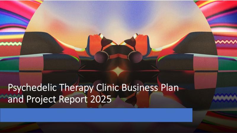 Psychedelic Therapy Clinic Business Model: Income, Expenses & Profitability