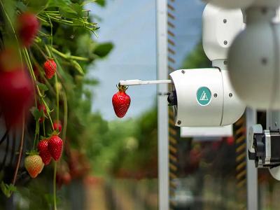 Robotic Fruit Picker Market