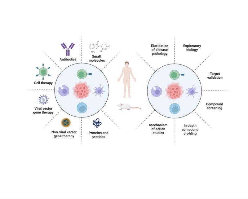 Cell-based Assays Market Set to Witness Significant Growth by 2033 | Becton, Dickinson and Company (BD), PerkinElmer Inc., Merck KGaA