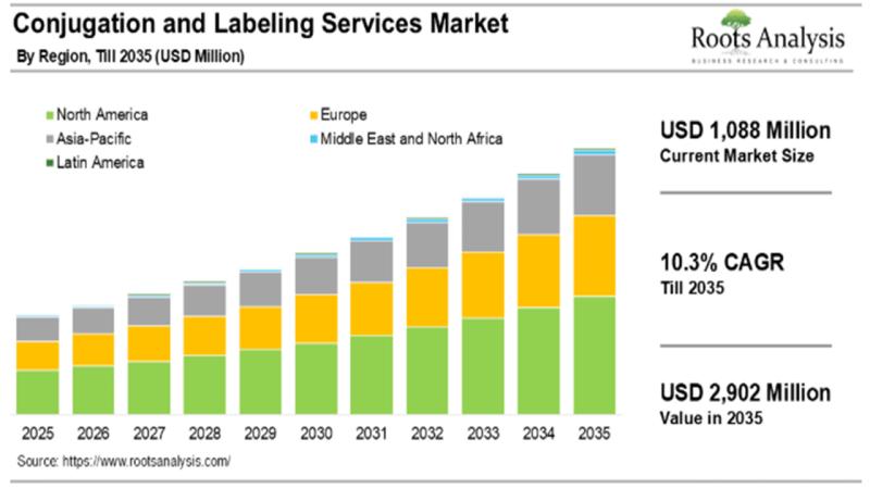 The Conjugation and Labeling Services Market is projected to grow at a CAGR of 10.3%, till 2035, claims Roots Analysis