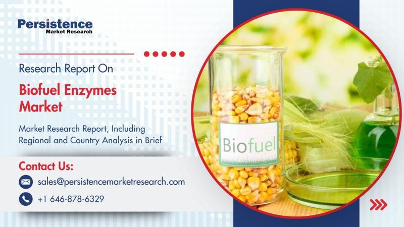 Biofuel Enzymes Market to Reach US$1,964.3 Mn by 2032 at 7.64% CAGR - Persistence Market Research