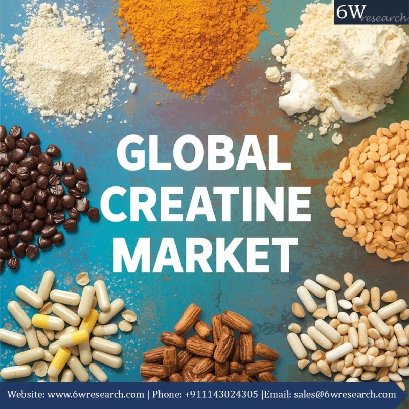 From Powders to Ready-to-Drink: Innovations Transforming the Creatine Market