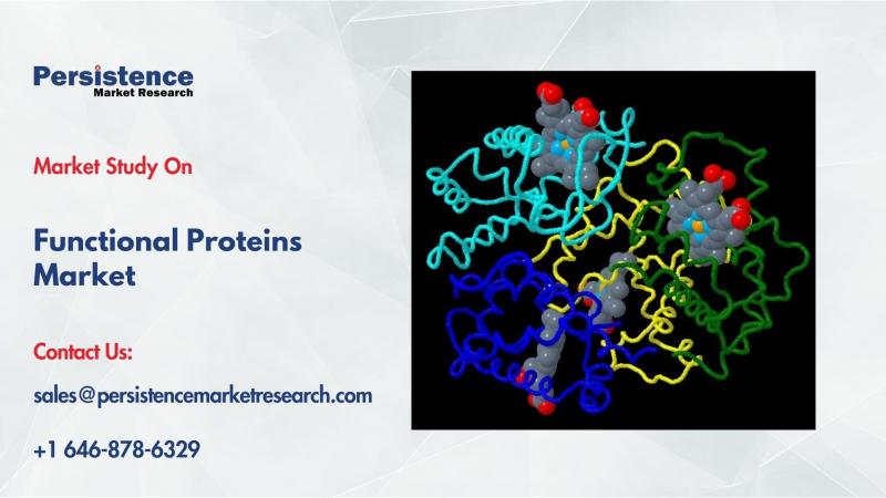Functional Proteins Market to Reach US$ 8.9 Bn by 2032, Driven by Rising Health Trends