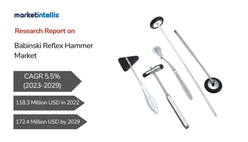 Babinski Reflex Hammer Market Poised to Growth USD 172.4 Million by 2029 | MDF Instruments, Transact International, Timesco