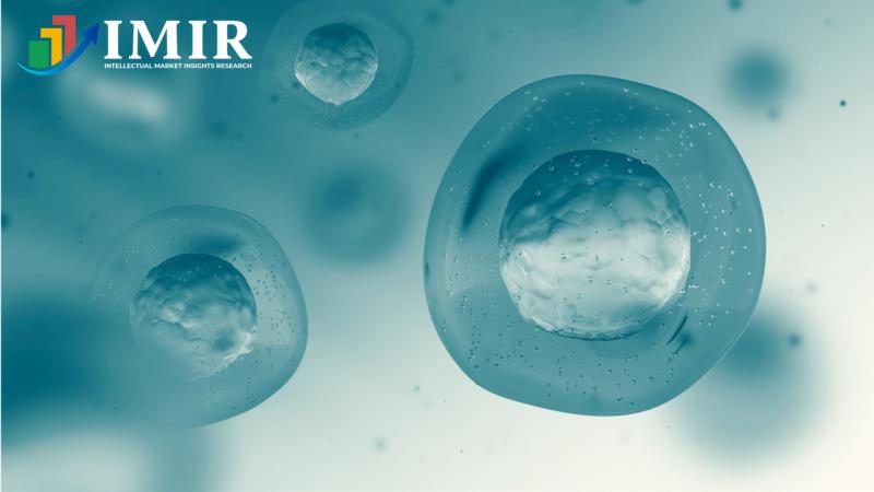 Human Microbiome Modulators Market Growth Forecast, Share Market Trends Analysis & Industry Outlook 20