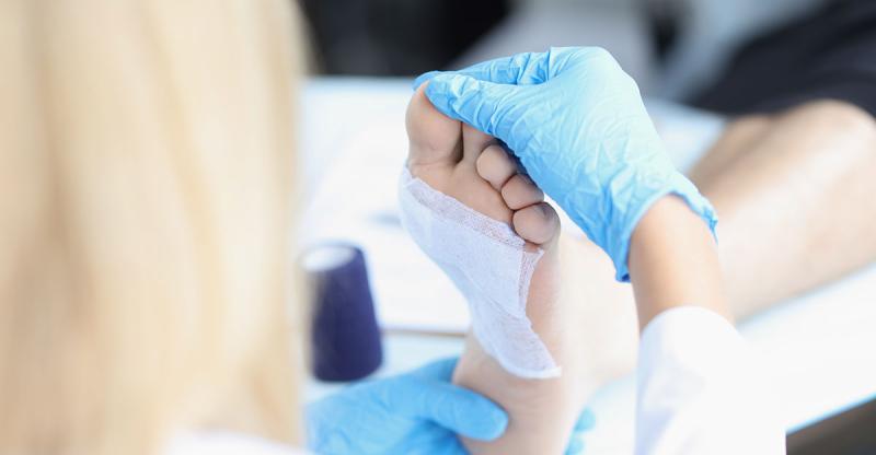 Alginate Dressing Market Size Future Scope, Demands and Projected Industry Growths to 2033