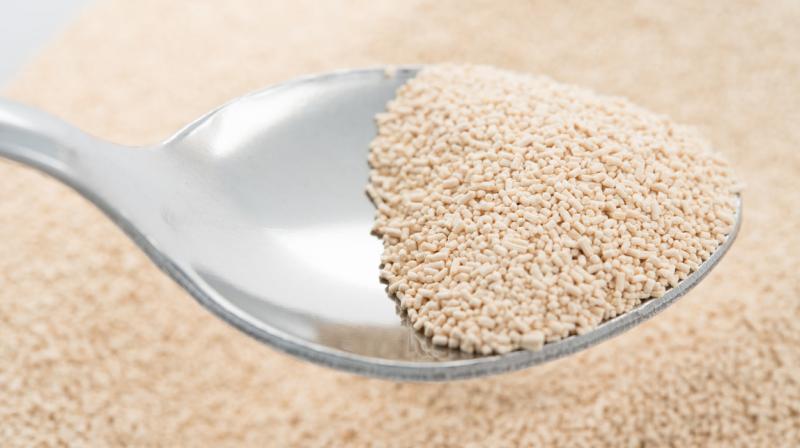 Dry Yeast Market Analysis Current Landscape and Future Outlook