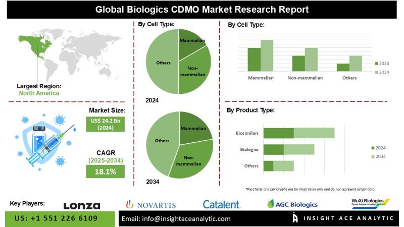 Biologics CDMO Market Exclusive Report with Detailed Study Analysis