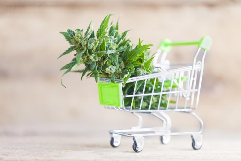 Legal Cannabis Market Next Big Thing | Major Giants mCig, United Cannabis, Medical Marijuana
