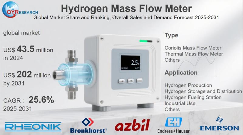 Hydrogen Mass Flow Meter Market Size, Trends, Growth: Global Forecast 2025-2031