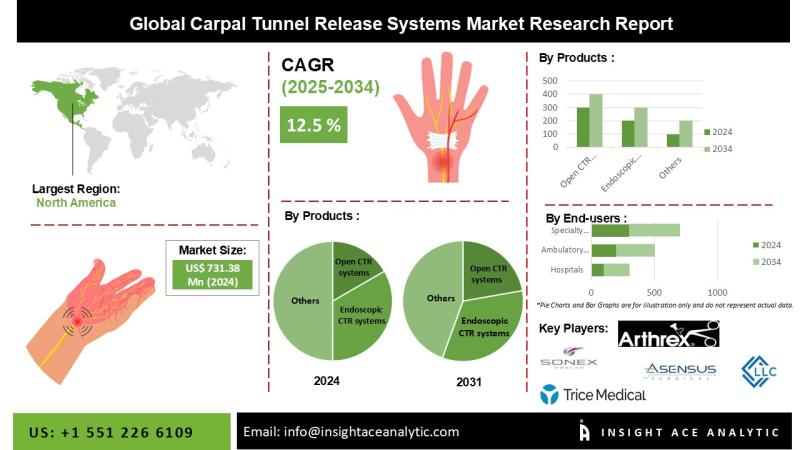 Carpal Tunnel Release Systems Market Demand and Growth Opportunities Detailed Analysis Report 2025-2034