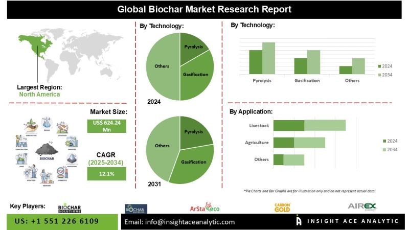 Biochar Market Survey Detailed Analysis and Forecast 2025-2034