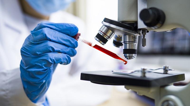 Forensic Microscopes Market May See Big Move | Major Giants Zeiss, Nikon Metrology, Euromex
