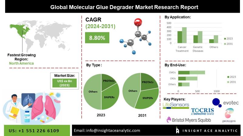 Molecular Glue Degrader Market Top Players - C4 Therapeutics, Inc., Seed Therapeutics, Inc., Ranok Therapeutics Co. Ltd., Venquis Therapeutics.